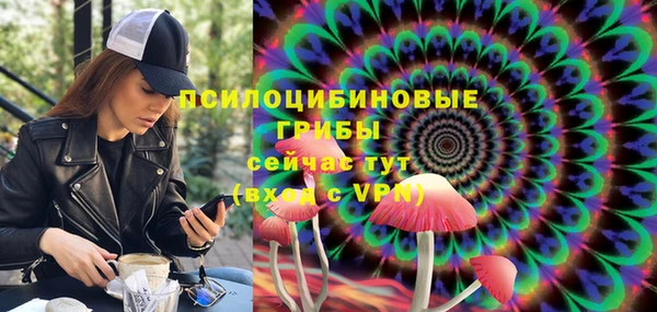 соль курить ск Михайловск
