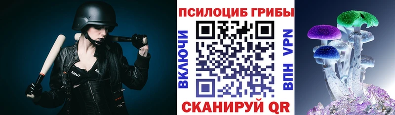 Галлюциногенные грибы Psilocybine cubensis  дарк нет телеграм  Райчихинск 
